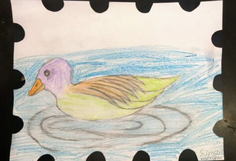 duck stamp4